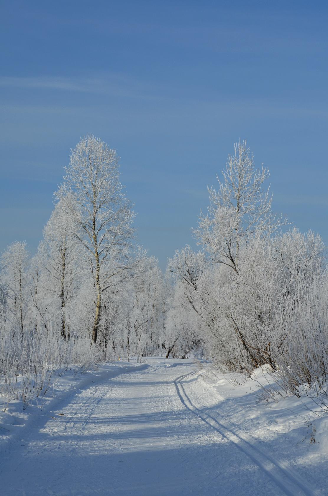 Все на лыжи