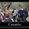 Свадьба