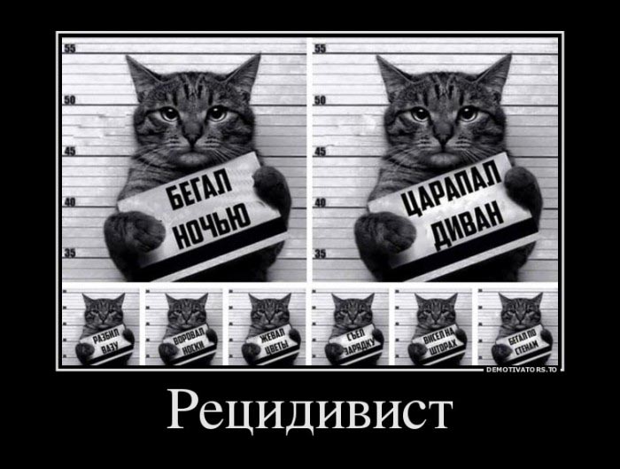 Рецидивист