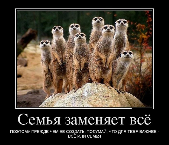 Семья заменяет всё
