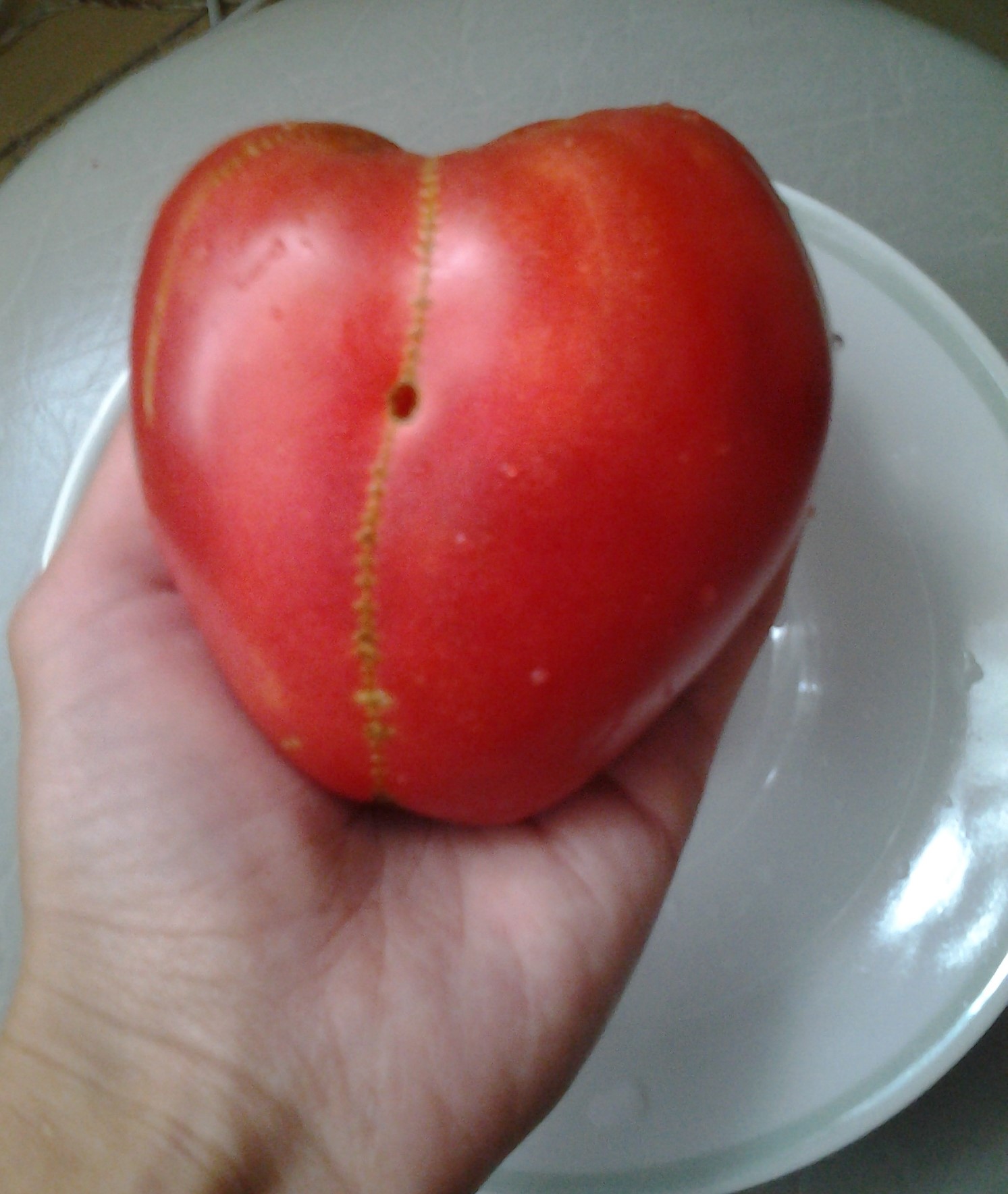 Чудо-помидор)