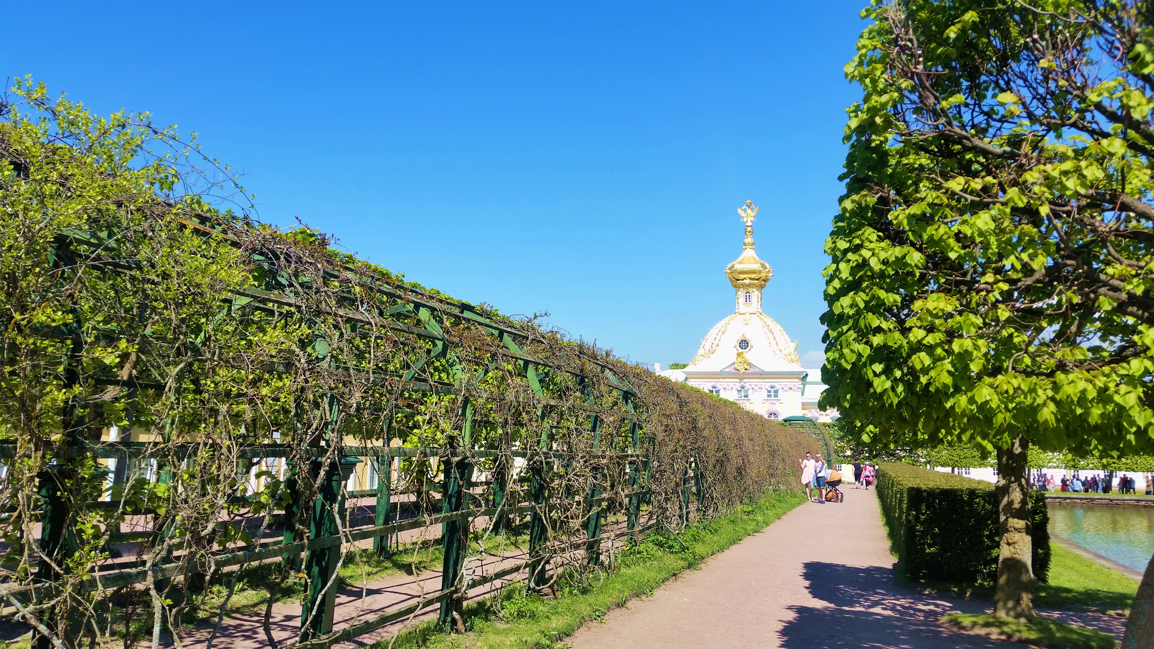 Моё, Санкт-Петербург, город, хорошо