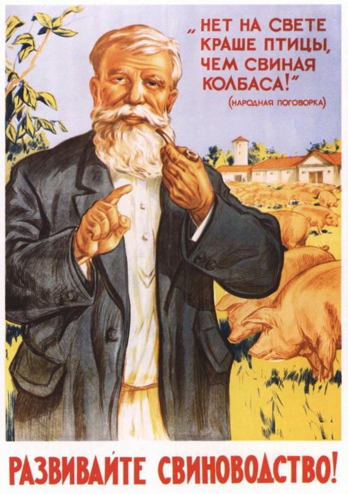 Свинная колбаса