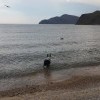 на небе только и разговоров, что о море на небе только и разговоров, что о море