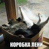 Коробка лени Коробка лени