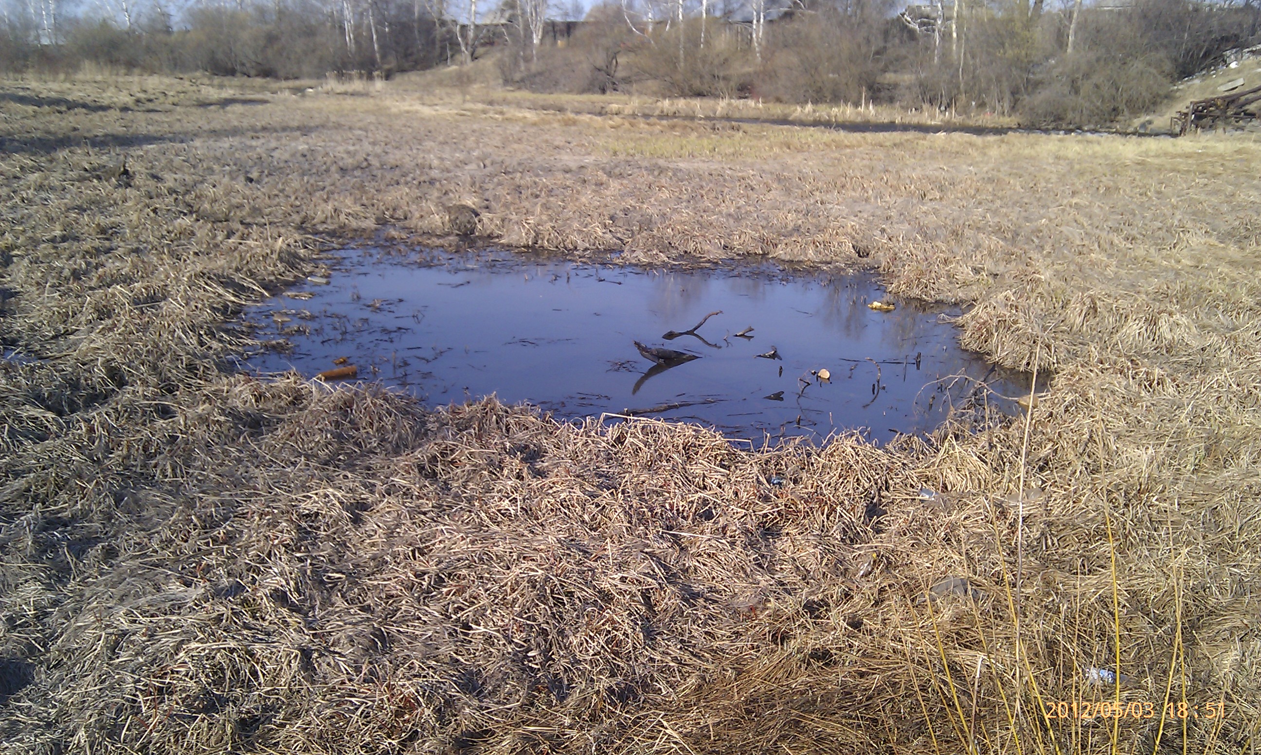 Болотце предвадакачечное))))