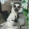Узбакойтесь
