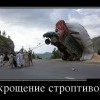 Укрощение строптивого
