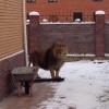 осторожно во дворе ))) осторожно во дворе )))