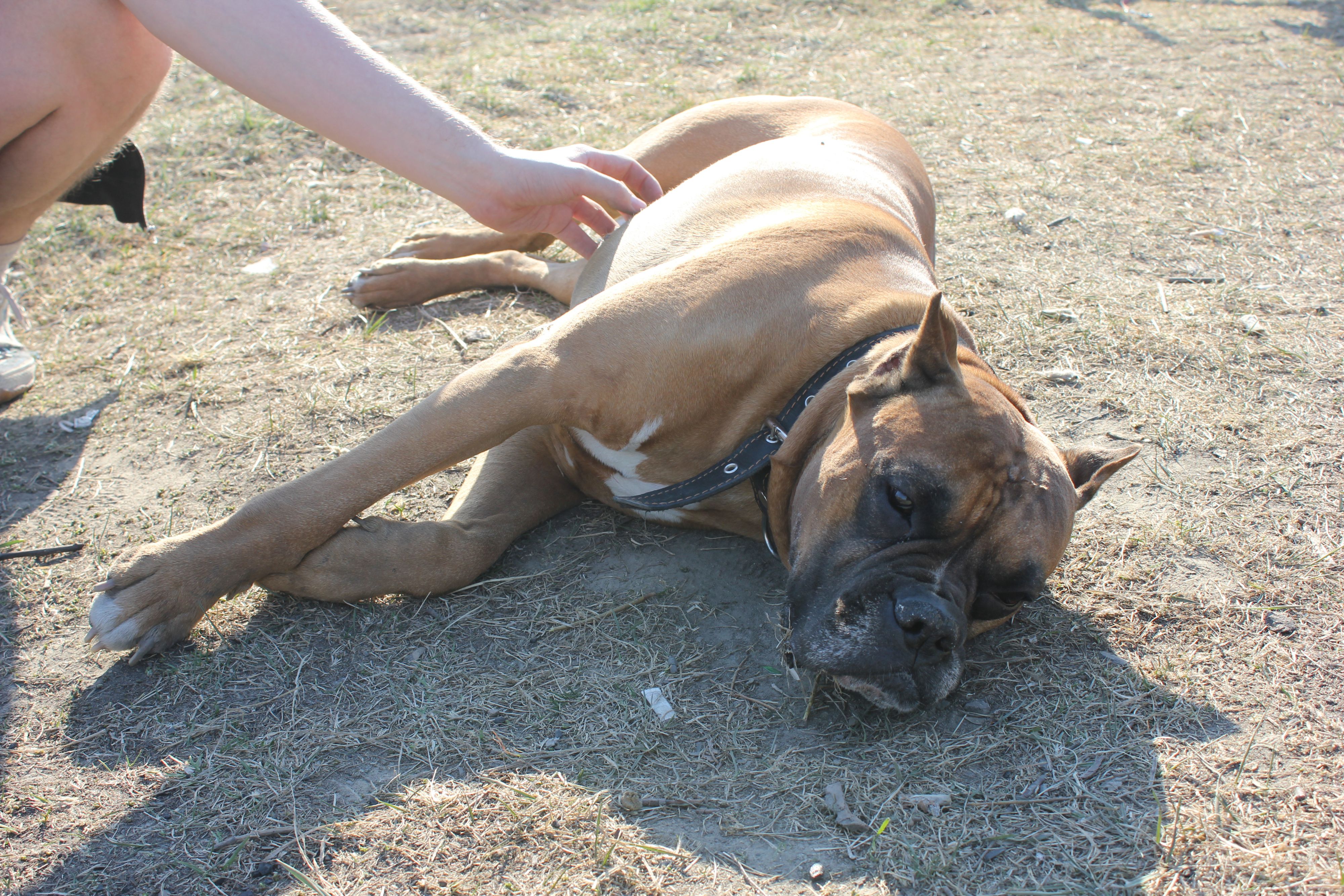 Сабак-Чак,мяса объевшись)))