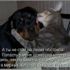 B74cc695a5f0e55b8ea45d0d598 prev