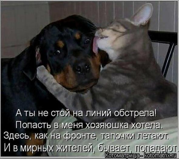B74cc695a5f0e55b8ea45d0d598 prev