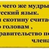 Русский язык Русский язык