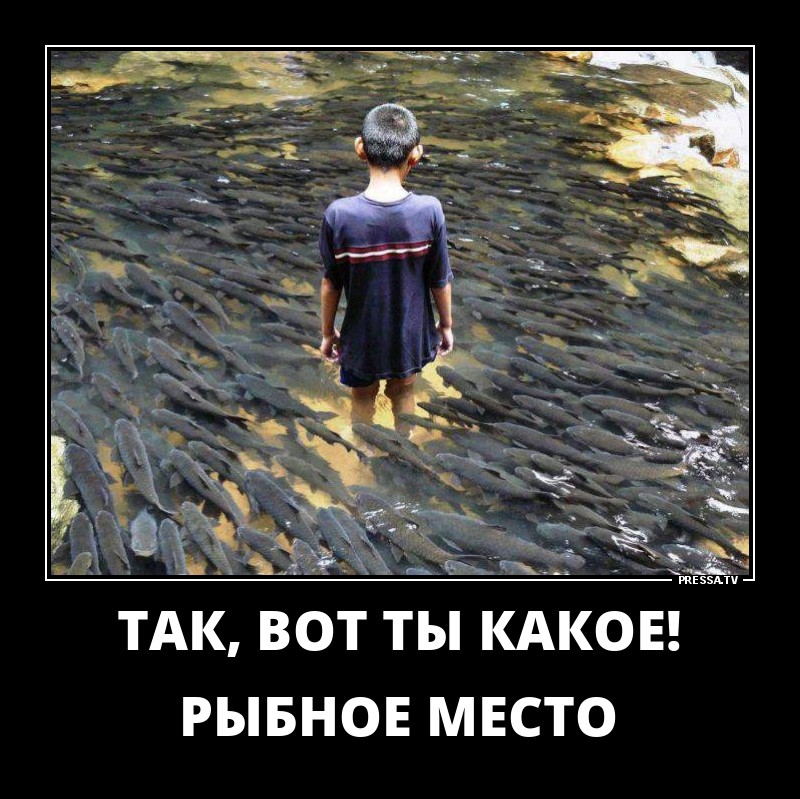 Рыбное место