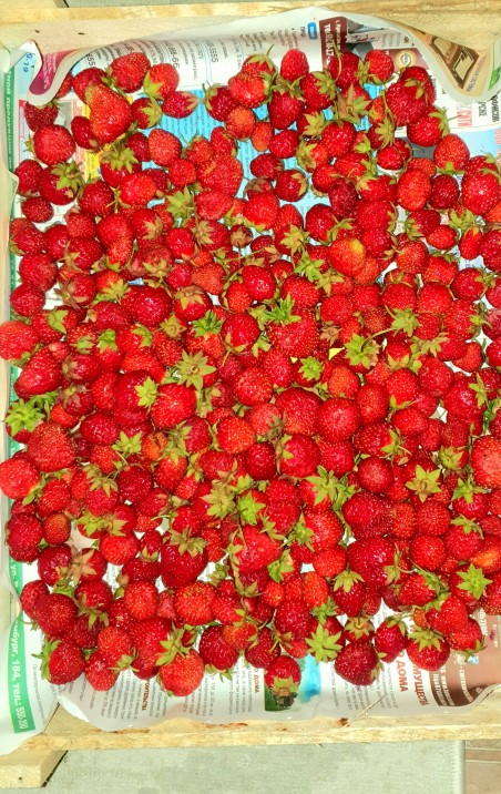 кулубничное)))))) кулубничное))))))