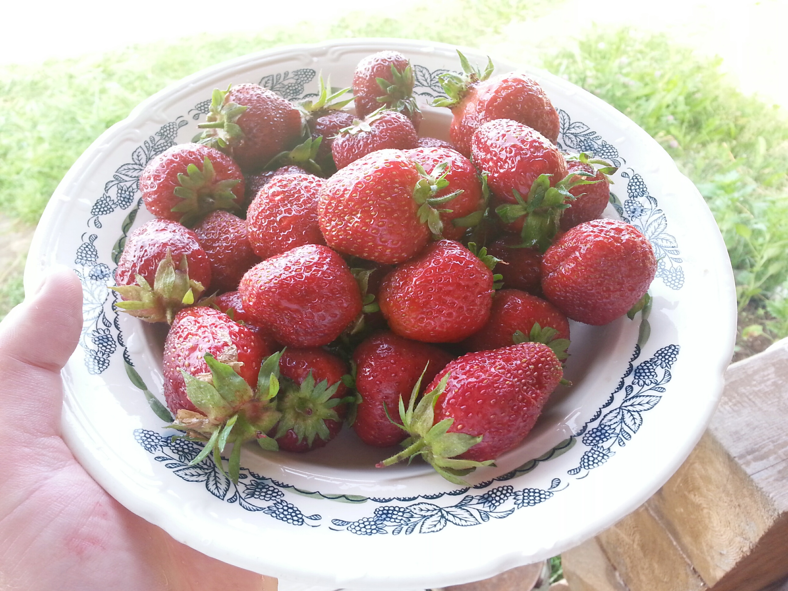 кушать подано)))))