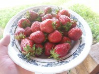 кушать подано)))))