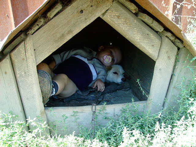 В гостях у друга . А бестолковые родители по всему огороду бегают..))