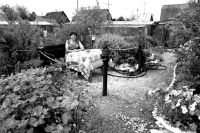 Из 30 тысяч ангарских садоводов приватизировали свои дачи только 1067