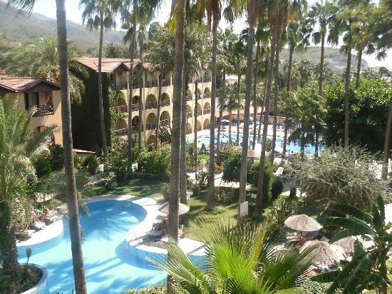Tropical garden