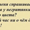 Пудра Пудра