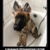 Водные процедуры Водные процедуры