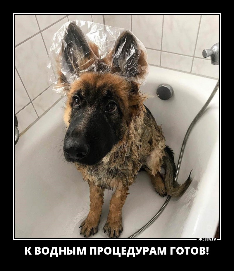 Водные процедуры