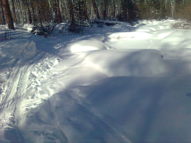 лыжня по Олхе от Витязя до Орленка
