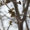 IMG 2452 IMG 2452