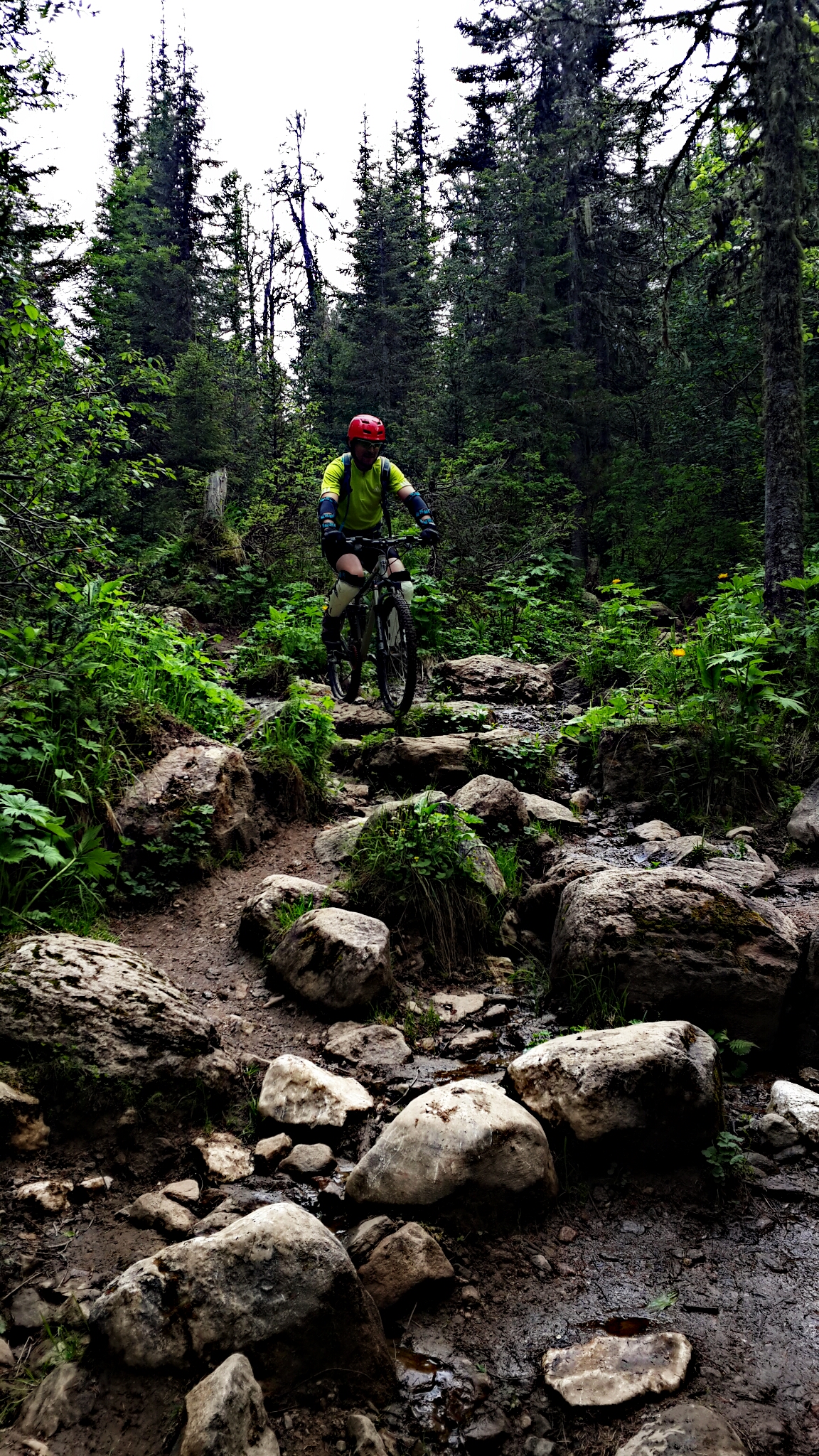 тропа до метеостанции стала заметно шире и ровнее