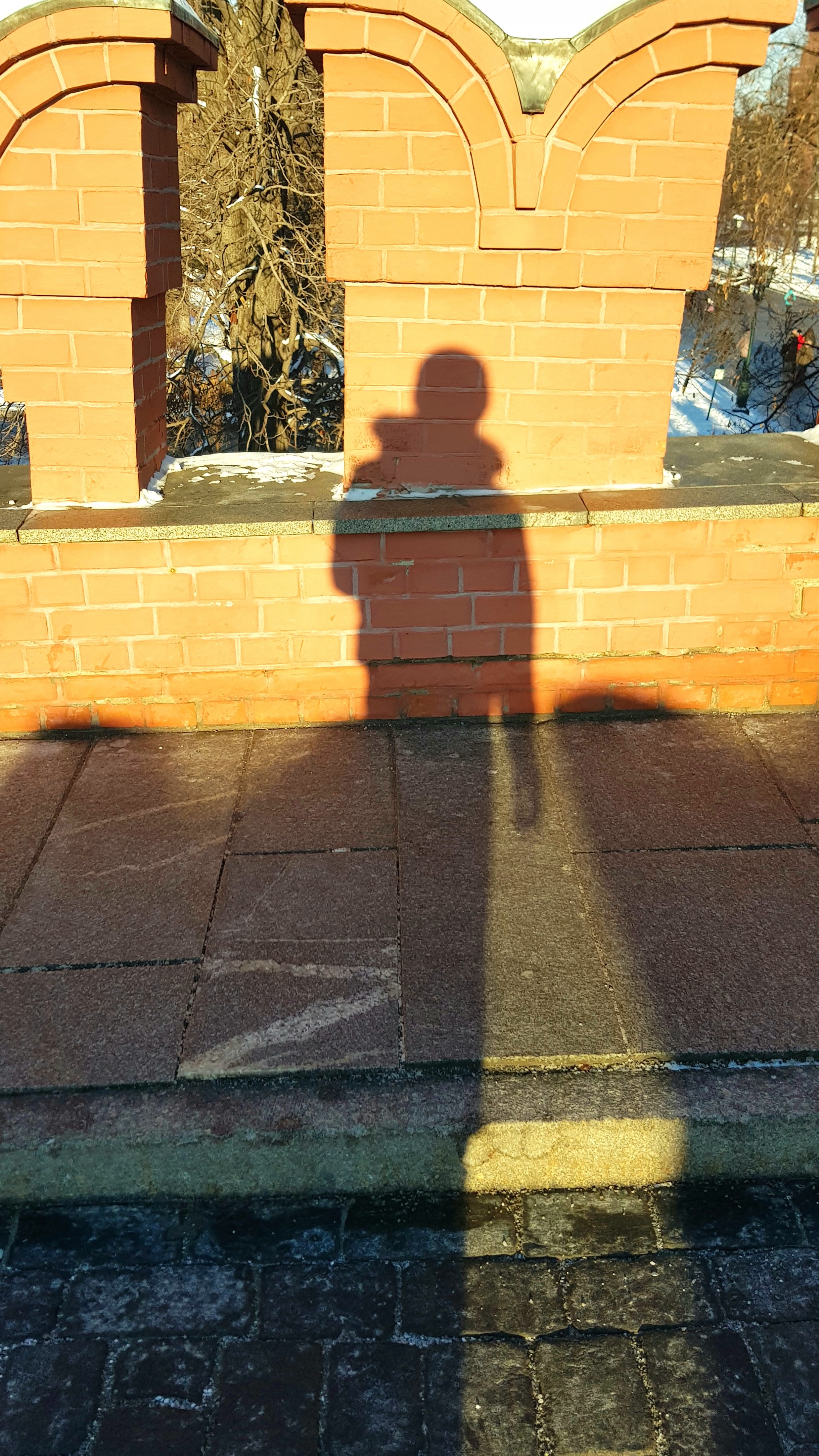 Сирёгина тень кремлевскогорбатая))))))