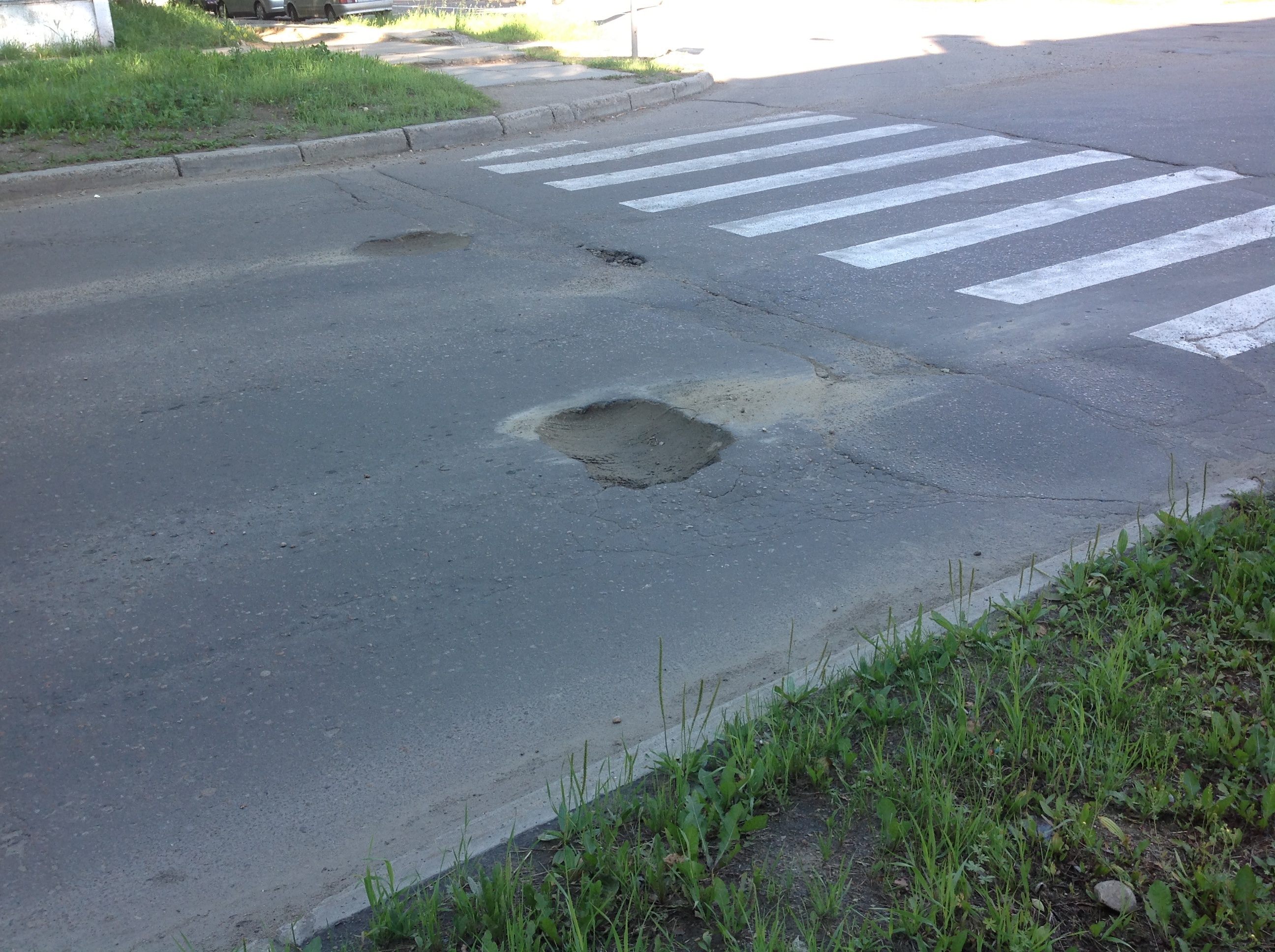 Вот что делает ЖА животворящий!