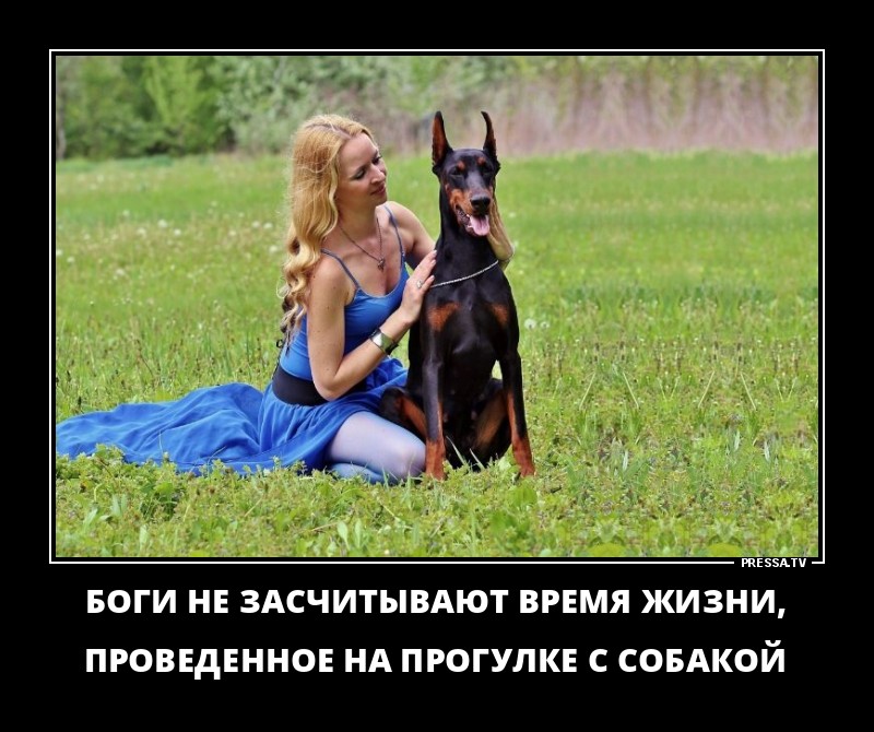 Прогулка с собакой