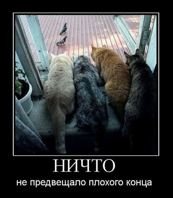 Ничто...
