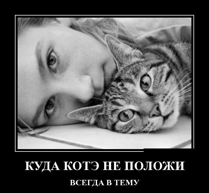 Котэ