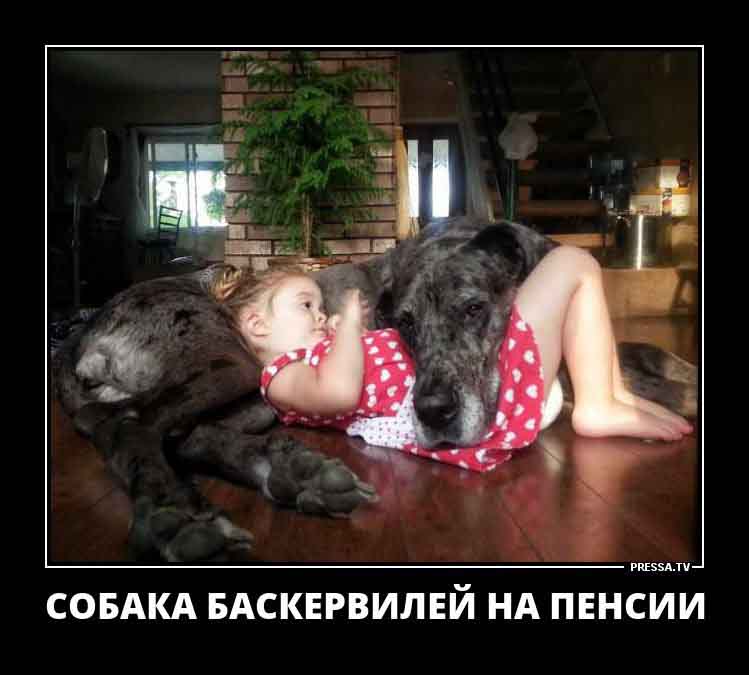 Собака Баскервилей