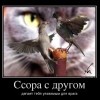 Ссора с другом