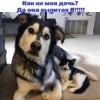 Родня Родня