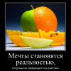 Мечты становятся реальностью Мечты становятся реальностью