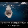 Уверенность в завтрашнем дне Уверенность в завтрашнем дне