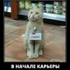 Начало карьеры