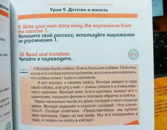 У Володи была собака
