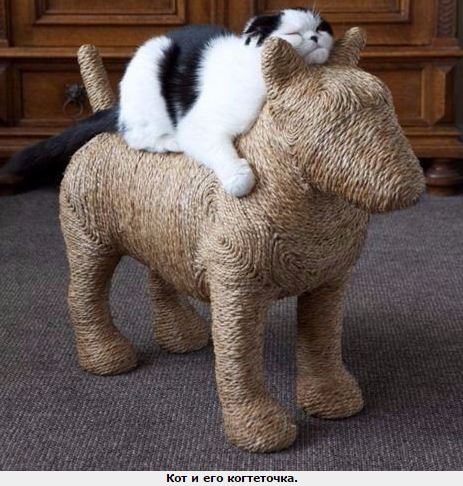 Ногтеточка