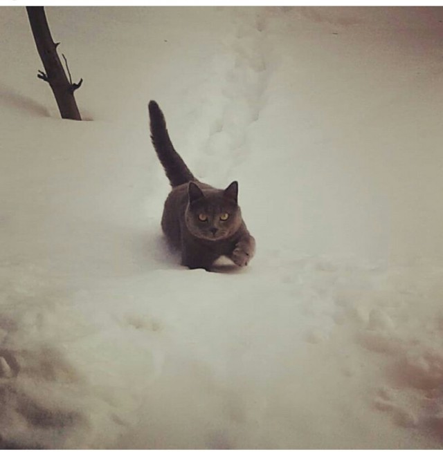 0e41a3bbf80e6cfeb483d518790