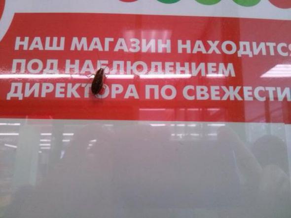 8b4140230d030e0eada7ecc5a72 prev
