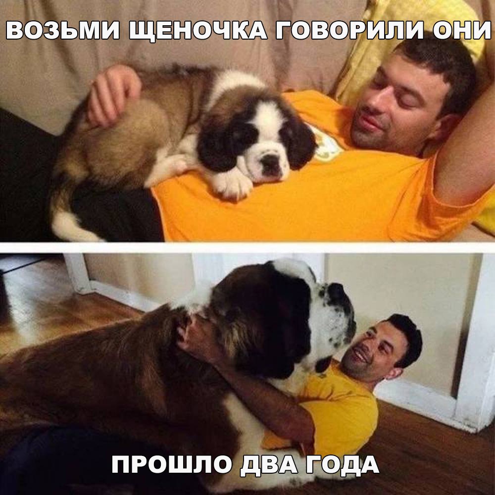 Щенок
