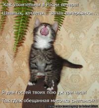 Вы все еще грустите?Тогда я иду к вам))