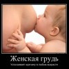 Женская грудь Женская грудь
