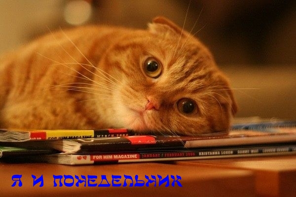 ))