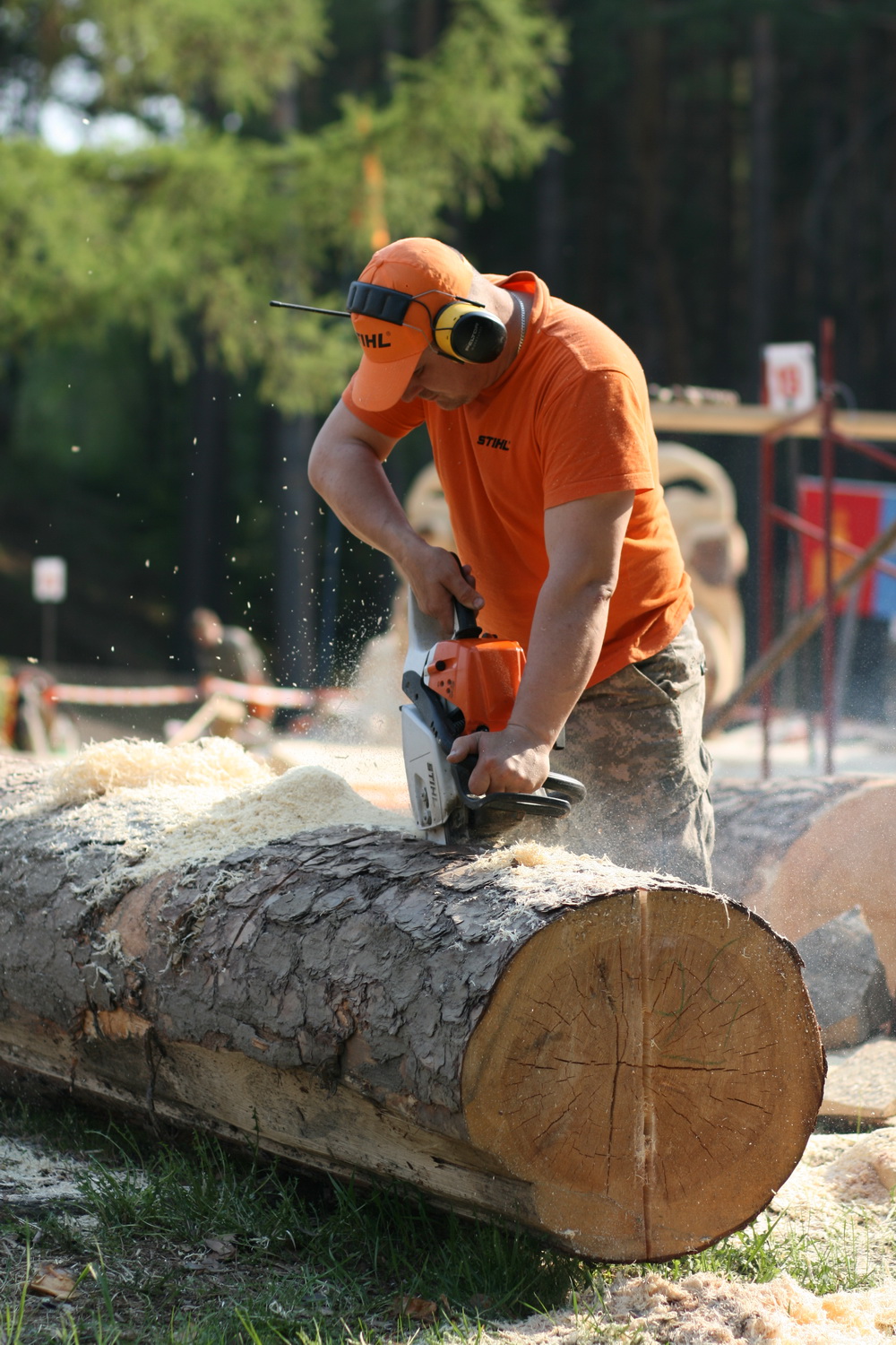 "Лукоморье", 17 мая. Фото Регины Ступурайте